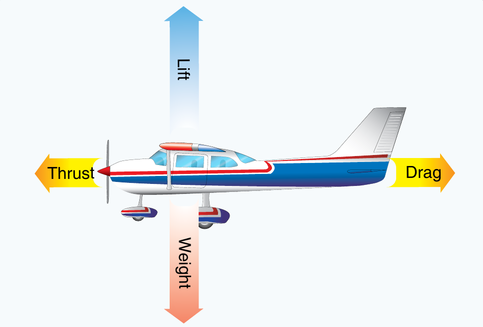 The four forces — lift, weight, thrust and drag